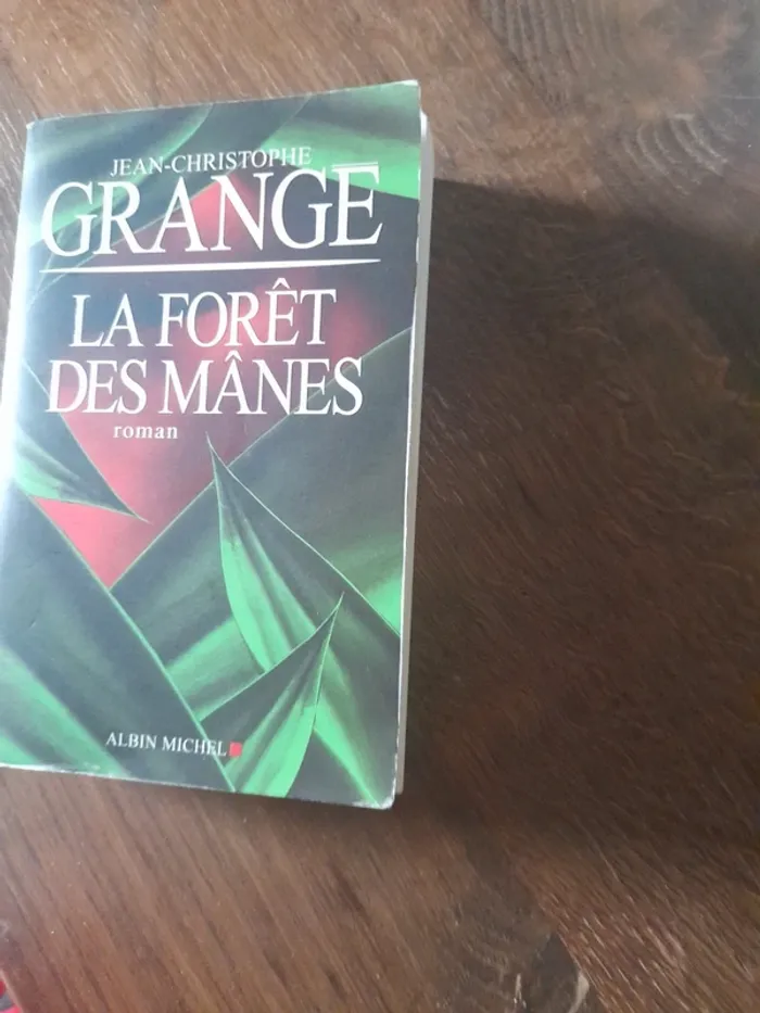 La forêt des Mânes Jean Christophe GRANGE - photo numéro 6
