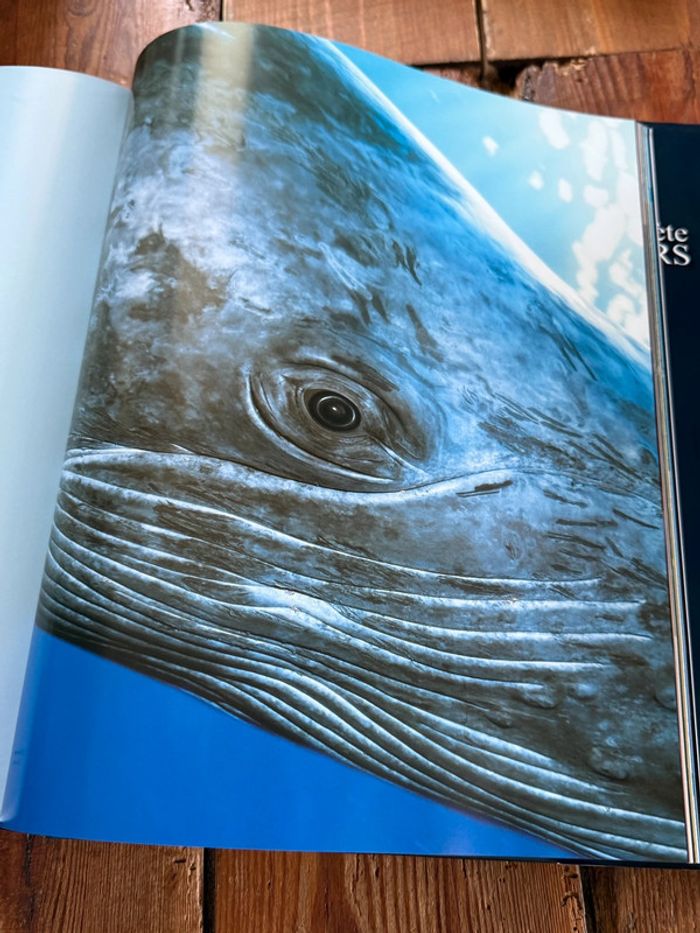 Grand beau livre Planète Mers Nicolas Hulot Laurent Ballesta Pierre Descamp Michel Lafon - photo numéro 8