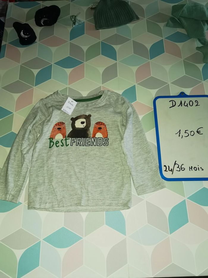 D1402 - tee-shirt garçon 24/36 mois - photo numéro 3