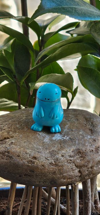 Super figurine Pokemon Nintendo Tomy C.G.T.S.J Maraiste 