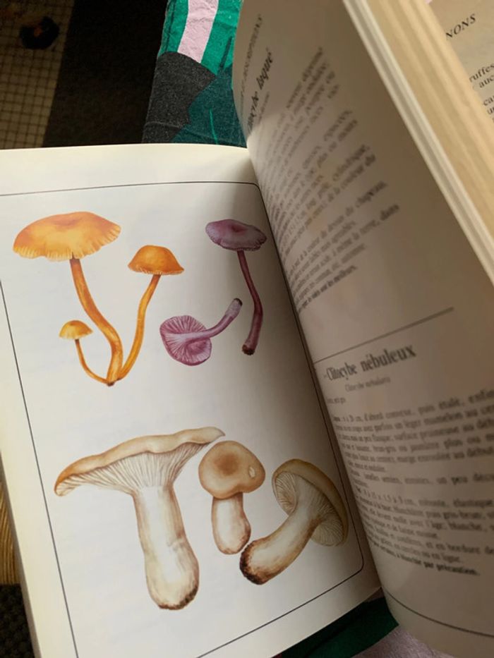 60 champignons 190 recettes - photo numéro 10