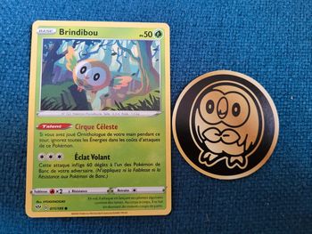 Carte Pokémon Brindibou chouette hibou + jeton collection collector