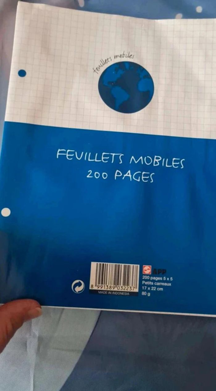 Lot  feuille  petit  et  grand  carreaux - photo numéro 2