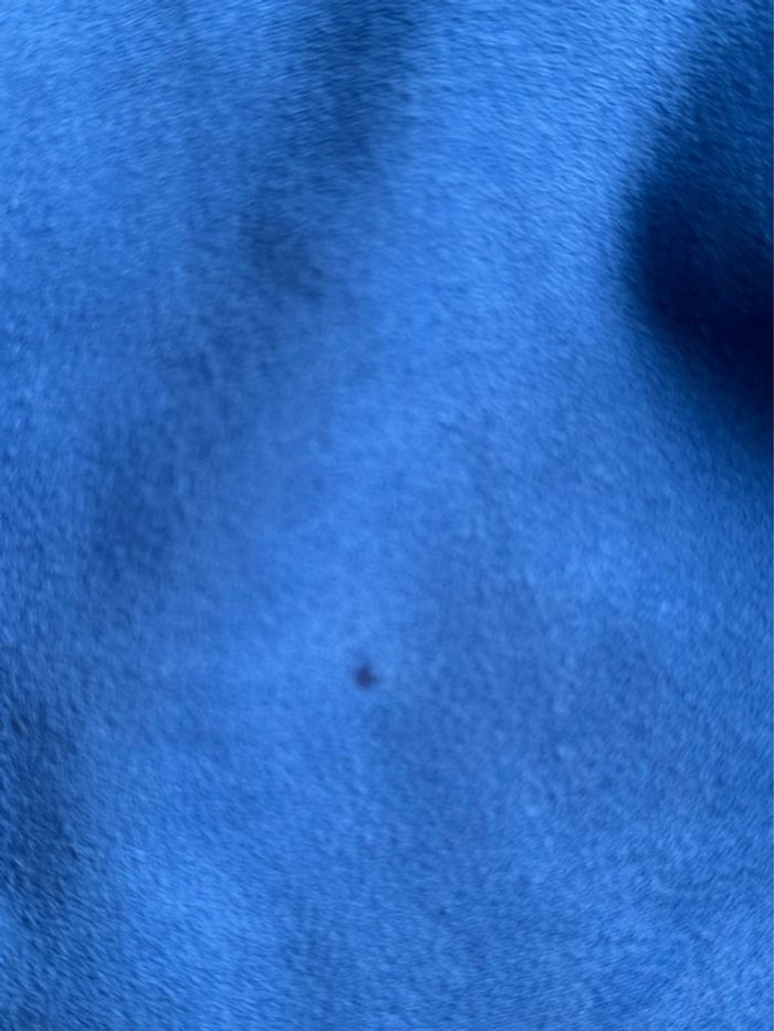 Robe bleu roi daim 42 - photo numéro 10