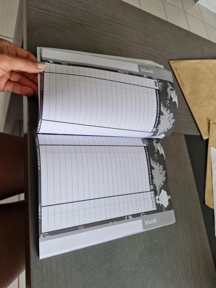 Cahier de texte enfant thème dinosaures - photo numéro 2