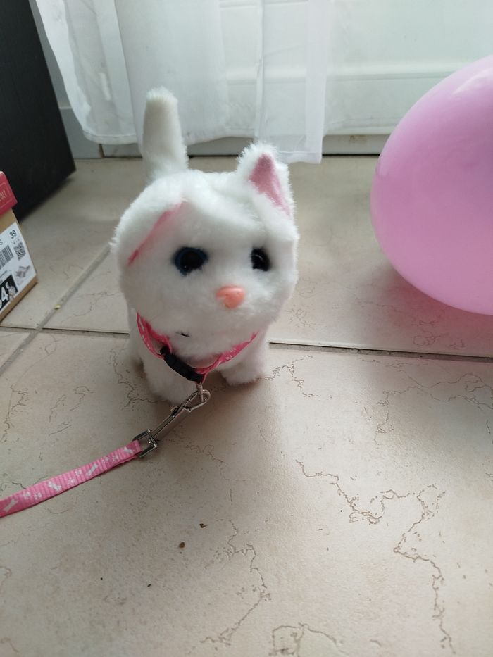 Chien dansant - photo numéro 3