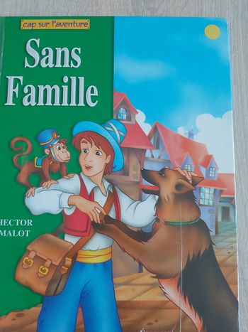 Sans famille