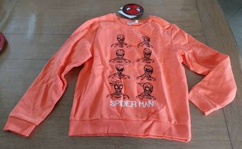 Pull garçon 10ans neuf