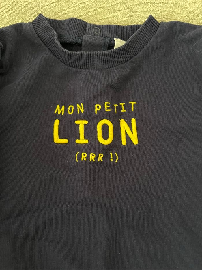 Pull Carrément beau taille 18 mois - photo numéro 2