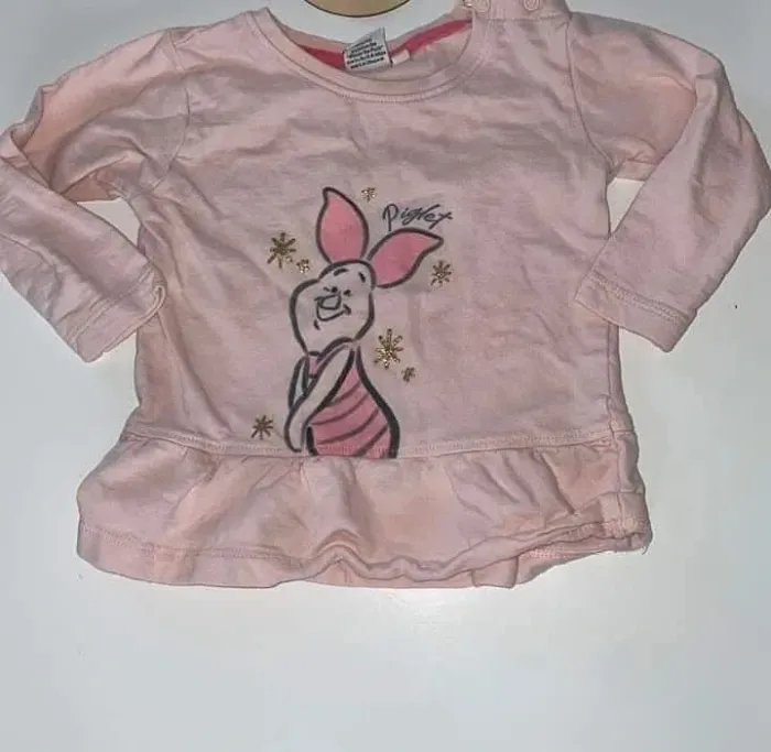 Tee shirt porcinet
