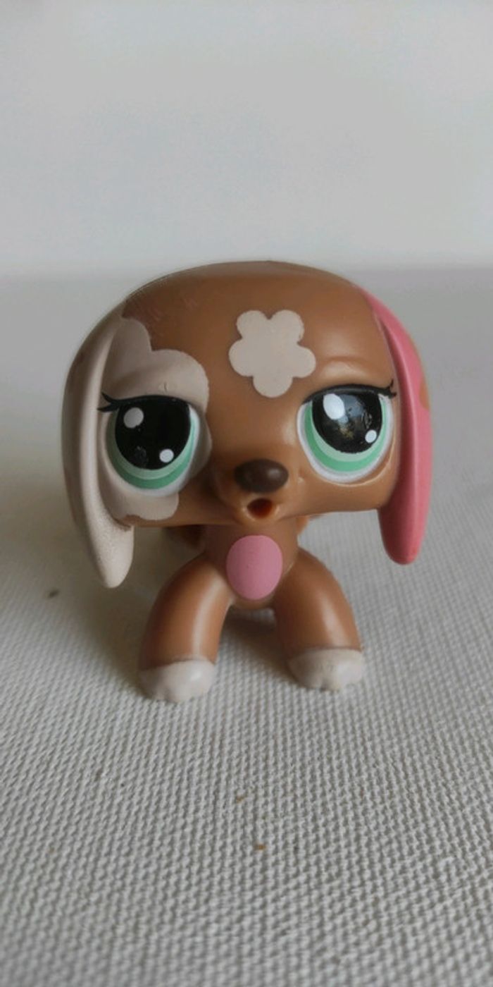 My littlest petshop chien lps teckel mécanique 2163 - photo numéro 2