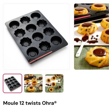 Moule twists Guy demarle 