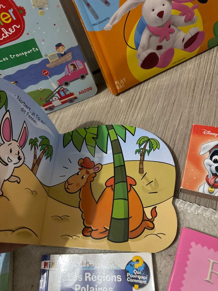 Lot livres pour enfants - photo numéro 9