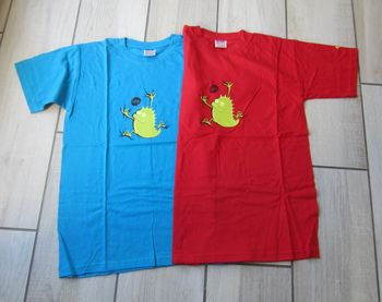 Lot de 2 tee shirts neufs 12/14 ans