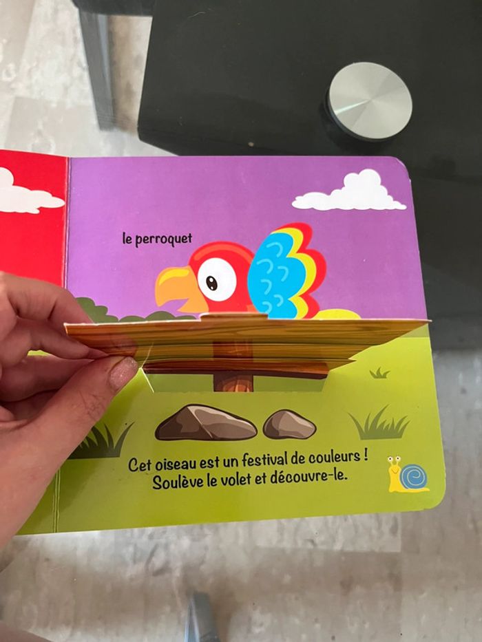 Livre qui se cache? - photo numéro 2