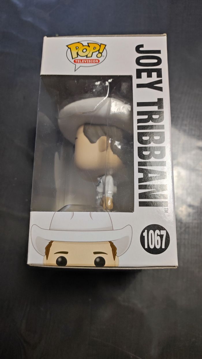 figurine 1067 Joy Tribbiani - photo numéro 3