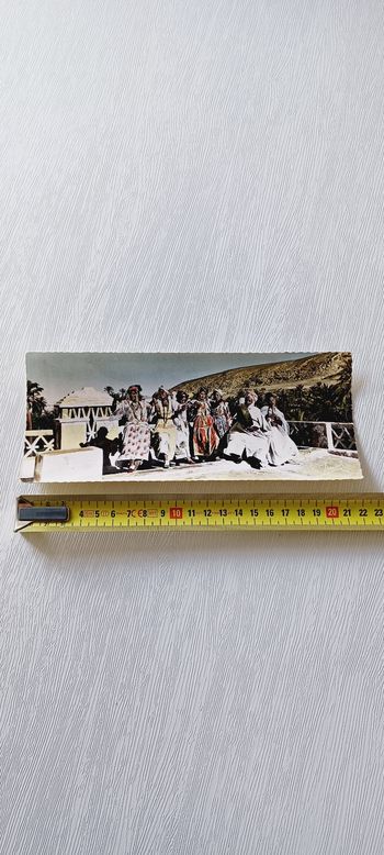 Carte postale vintage alger