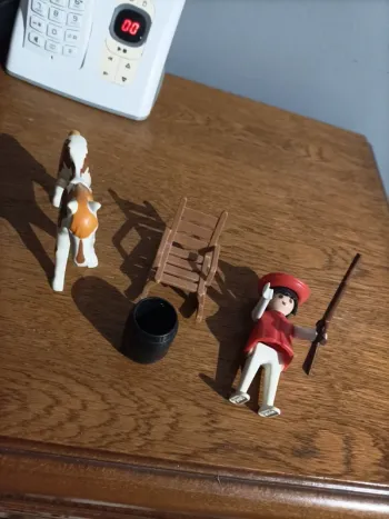 Playmobil cowboy avec accessoires