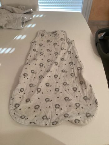 Gigoteuse motif lion