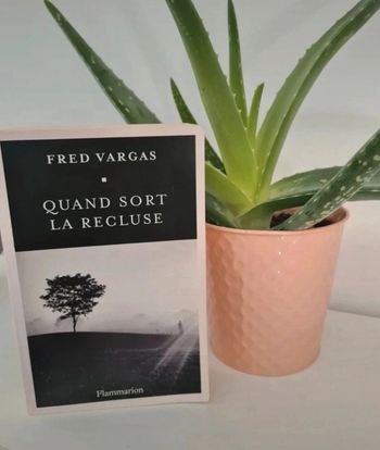 Quand sort la recluse de Fréd Vargas