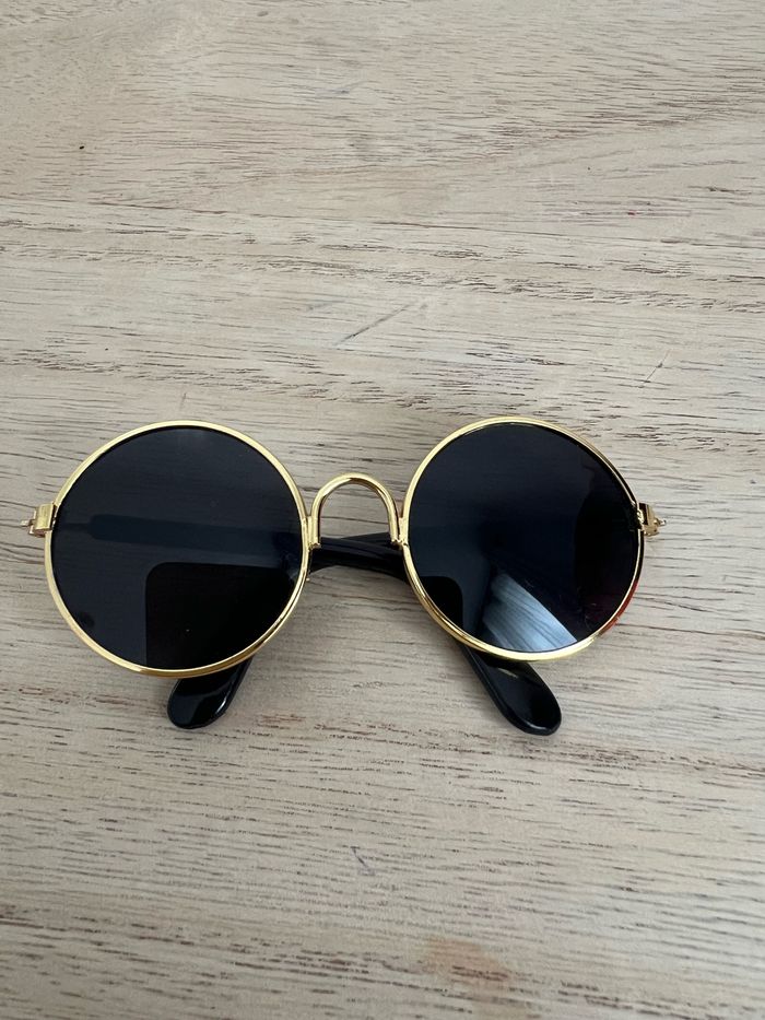 Lunette de soleil pour chat