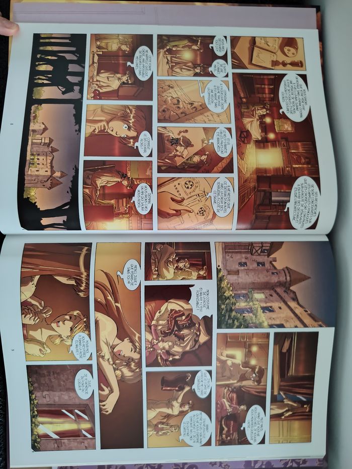 La rose écarlate tome 3 - photo numéro 3