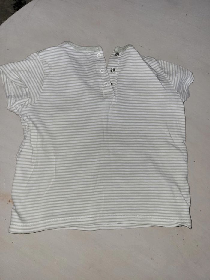 Tee shirt MC 24mois - photo numéro 3