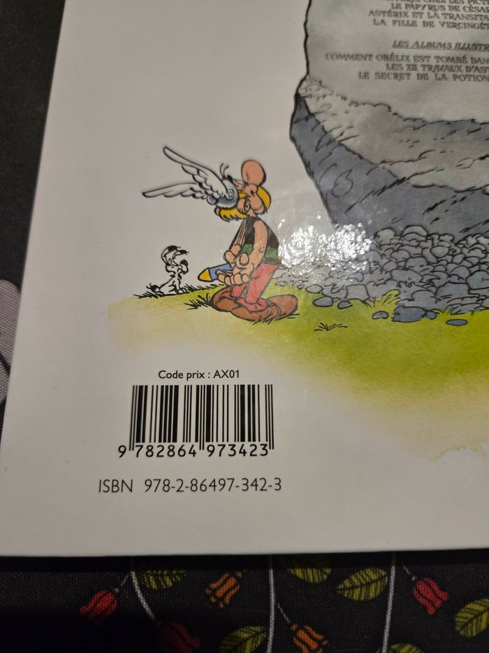 La fille de Vergingétorix - photo numéro 3