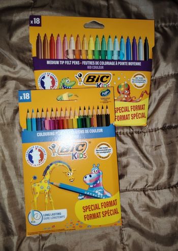 Lot bic crayons de couleurs+ feutres