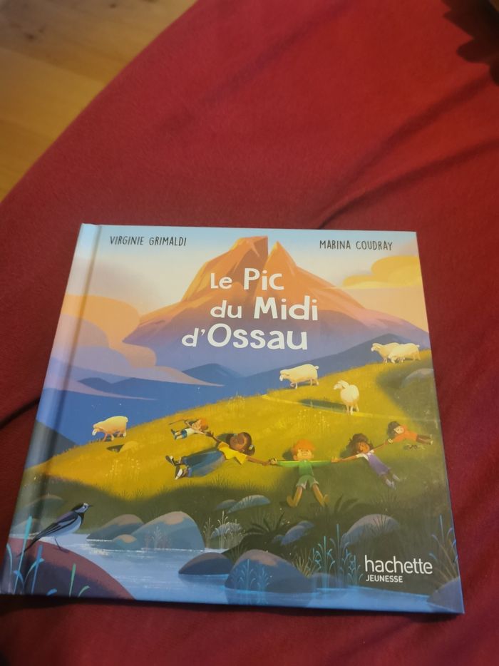 33 livres macdo - photo numéro 9