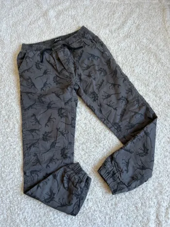 Pantalon dino