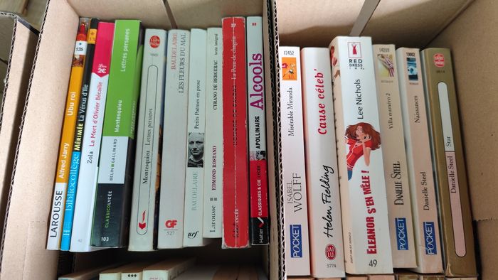 Livres - photo numéro 6