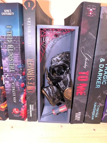 niche a livre little stranger 