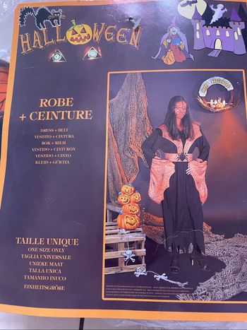 Deguisement femme sorcière