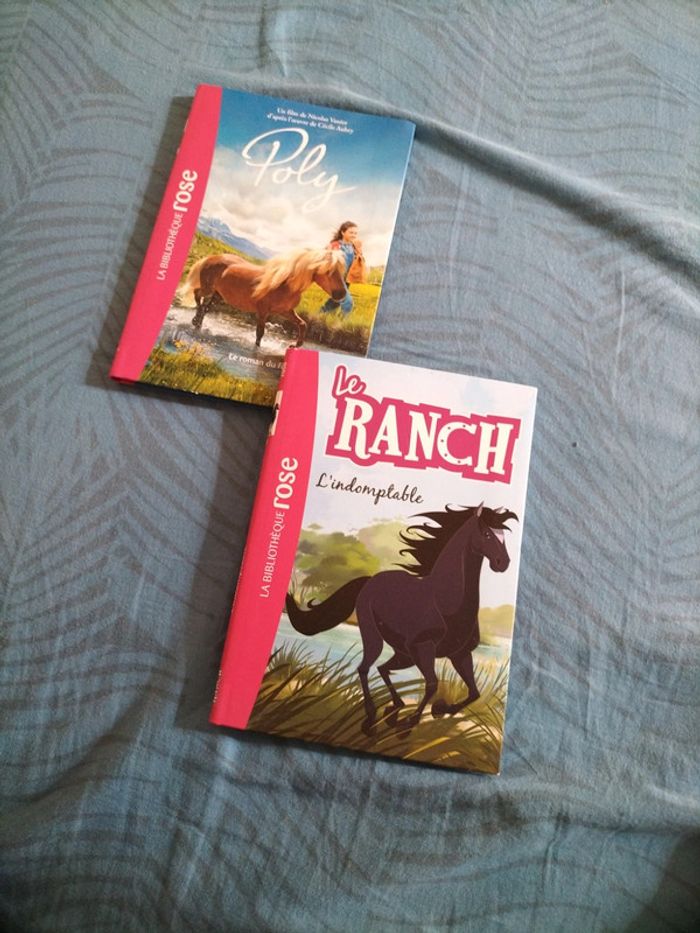 Lot 2 livres