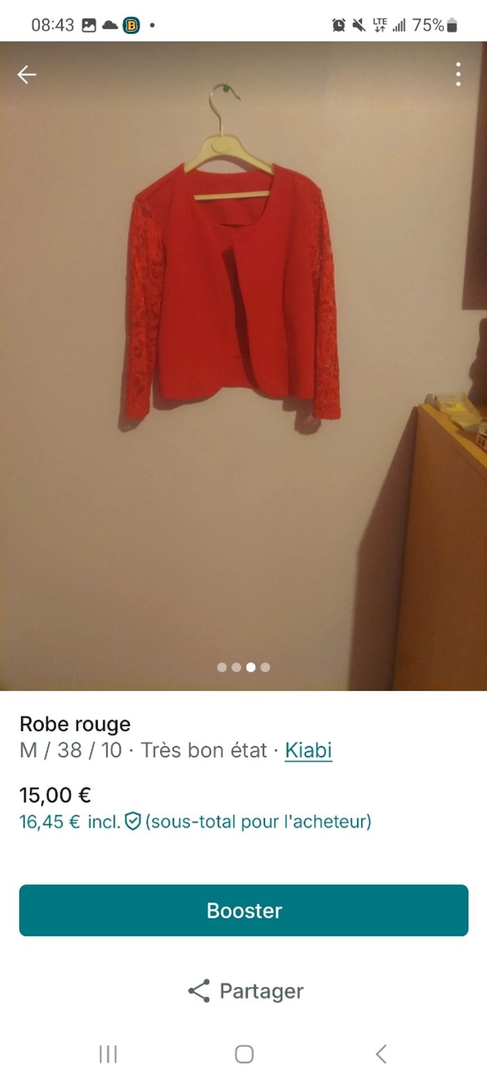 Robe - photo numéro 3