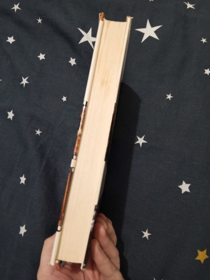 Livre (131) 📚 La banquière - photo numéro 4