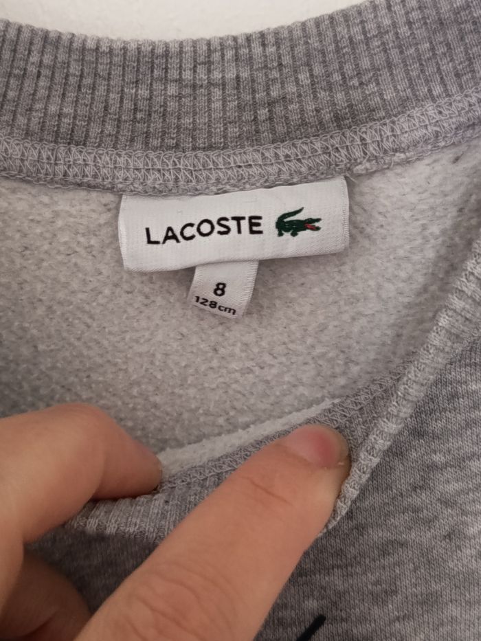 Pull Lacoste - photo numéro 3