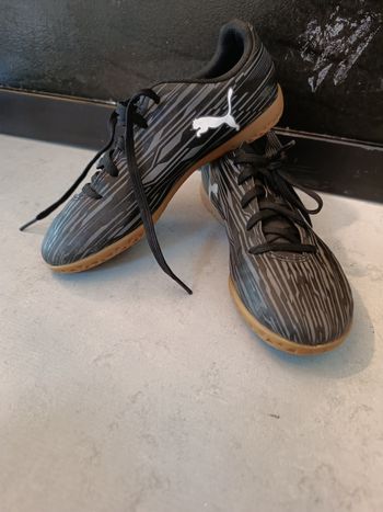 Basket puma