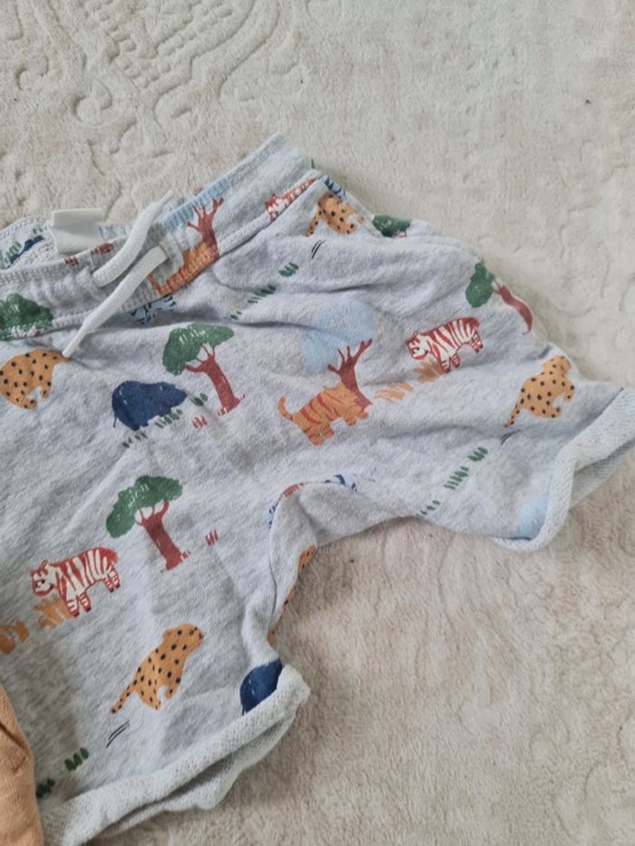 2 shorts hm 12/18 mois - photo numéro 4