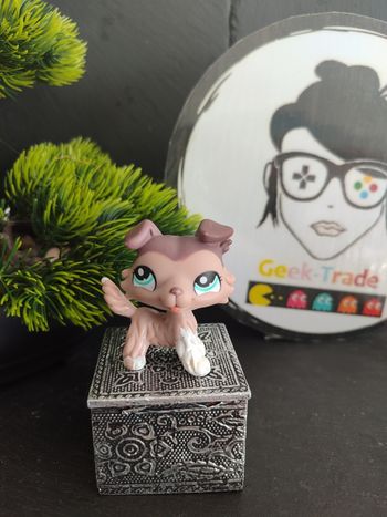 Littlest Petshop LPS dog chien colley collie 1330 hasbro Border Hasbro 2007