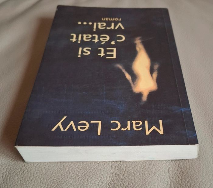 Roman et si c était vrai de Marc Lévy - photo numéro 6