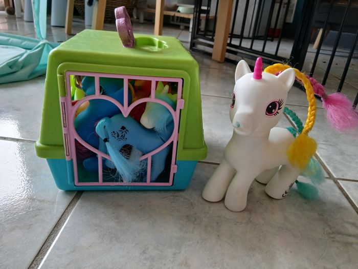 Poneys et caisse de transport - photo numéro 3