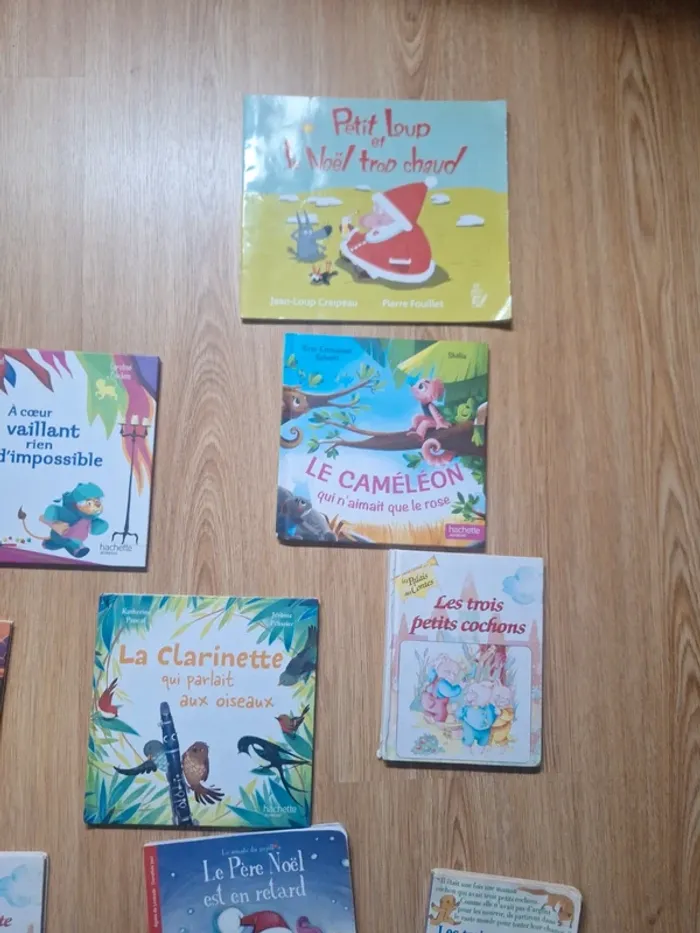 Lot petits livres enfants - photo numéro 4