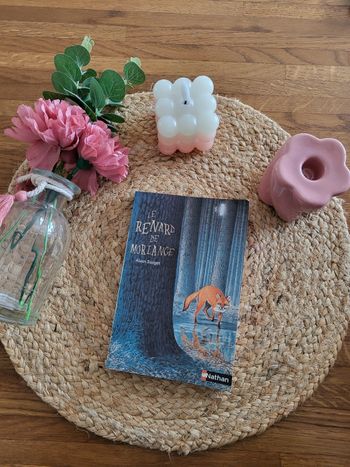 🌺Livre le Renard de Morlange Alain Surget Nathan à partir de 10 ans