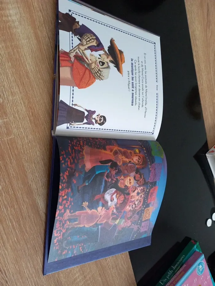Livre Coco - photo numéro 12