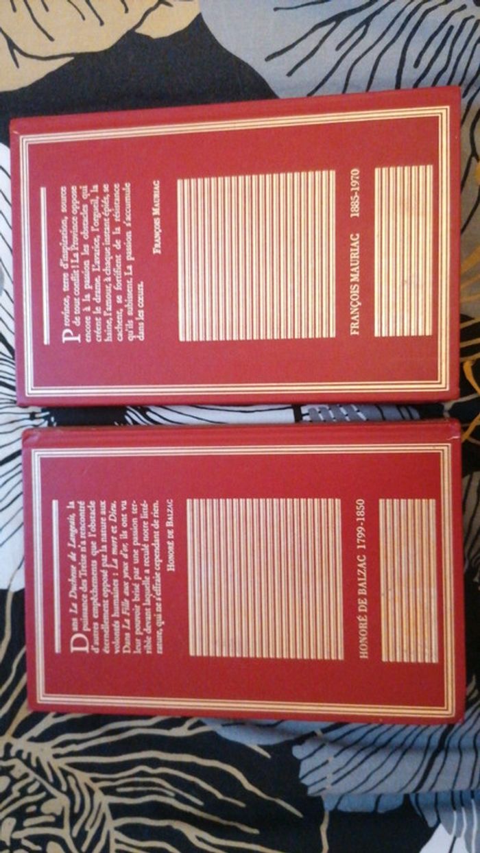 Lot de 2 livres - photo numéro 2