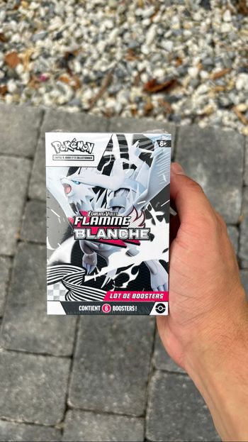 Pokémon Bundle EV10.5  Flamme Blanche
