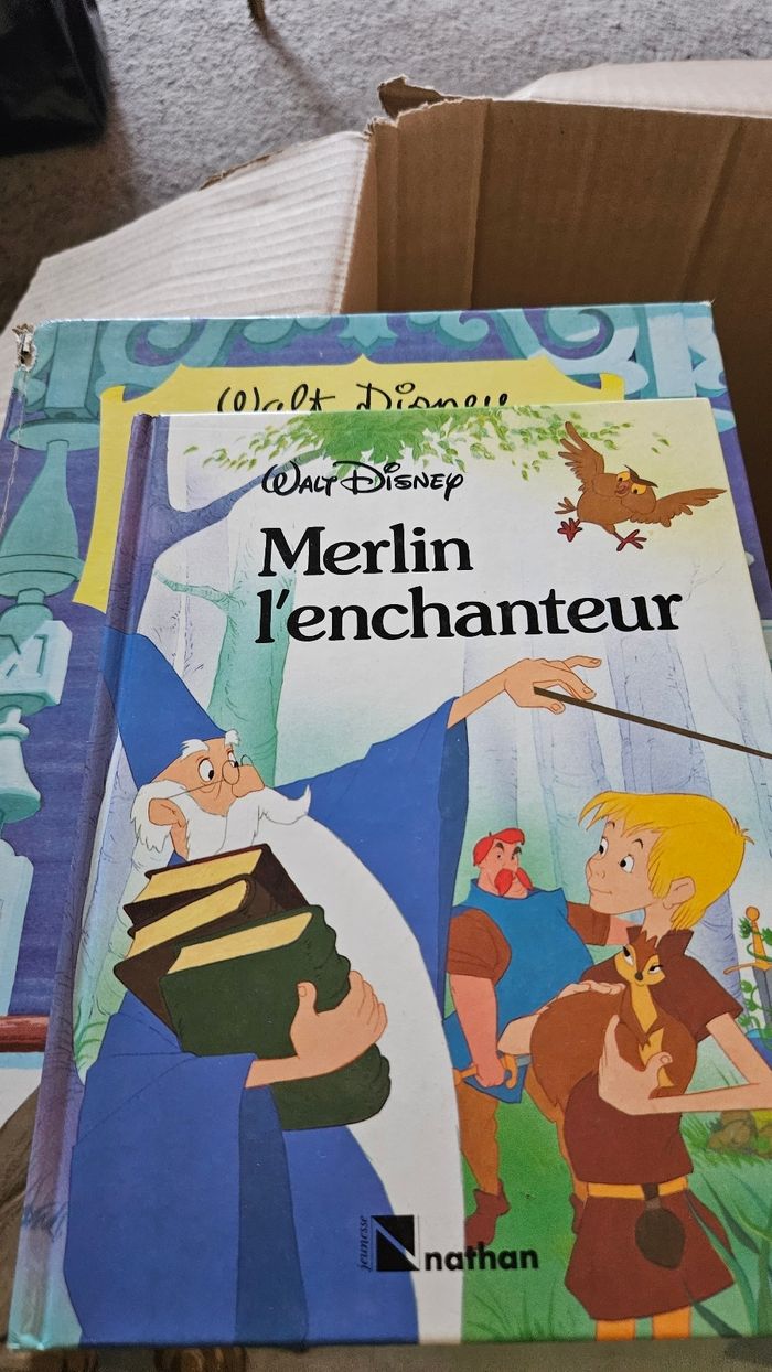 Gros lot livres Disney vintage - photo numéro 4