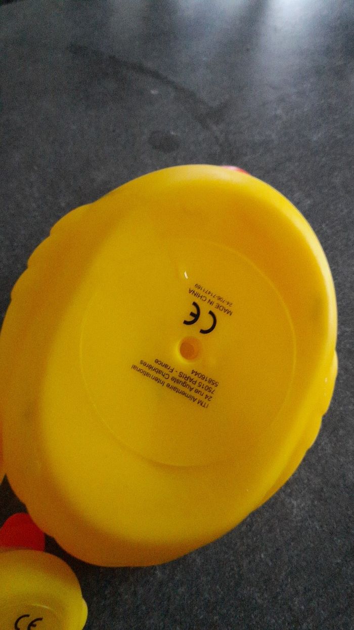 Canards - photo numéro 3